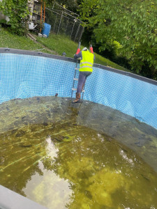 Photo de galerie - Entretien piscine