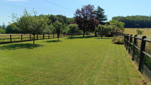 Photo de galerie - Jardin / Espace vert