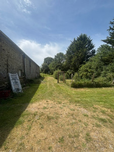 Photo de galerie - Tonte de pelouse - Débroussaillage