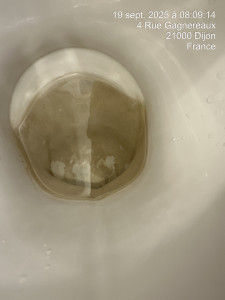 Photo de galerie - Ménage