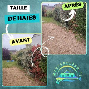 Photo de galerie - Taille de haies et d'arbustes