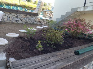 Photo de galerie - ☀️??