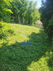 Photo de galerie - Tonte de pelouse - Débroussaillage