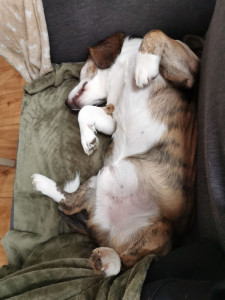 Photo de galerie - En plein dodo ! 