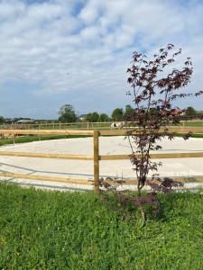 Photo de galerie - Terrassement - Assainissement