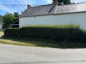 Photo de galerie - Taille de buis en cour 