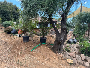 Photo de galerie - Paysagiste - Aménagement du jardin