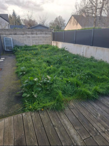 Photo de galerie - Tonte de pelouse - Débroussaillage