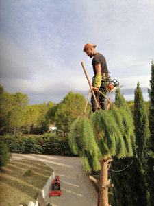Photo de galerie - Démontage pins  parasol 