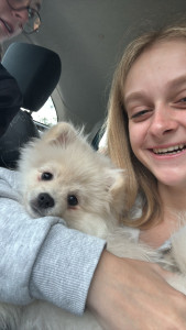 Photo de galerie - J’ai pu garder un chien pendant 5jours chez moi 