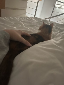 Photo de galerie - Réveil en douceur avec Meli à mes côtés 