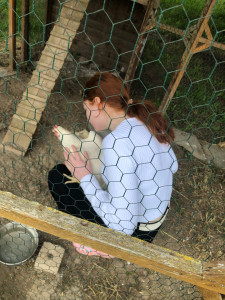 Photo de galerie - Je m’occupe des poules 