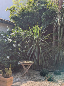 Photo de galerie - Aménagement patiot intérieur 