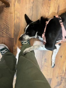 Photo de galerie - Trop trop mims✨