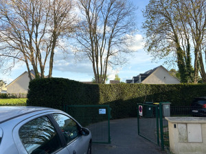 Photo de galerie - Propre haie 