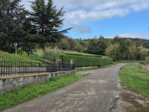 Photo de galerie - Taille de haie
