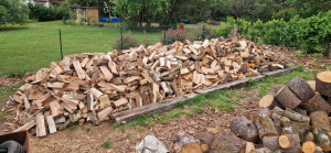 Photo de galerie - Bois de chauffage disponible. 