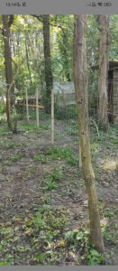 Photo de galerie - Clôture Grillage