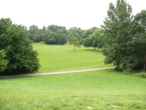 Photo de galerie - Tonte, débroussaillage, plantation d arbre, arbuste et plantes, création de massifs et de jardins. 