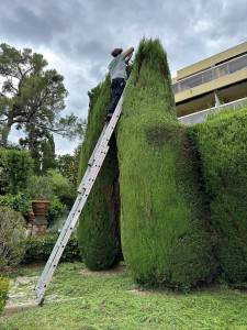 Photo de galerie - Taille 