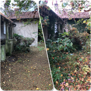 Photo de galerie - Remise en état d’un jardin à l’abandon