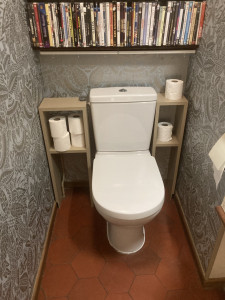 Photo de galerie - Remplacement WC