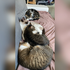 Photo de galerie - ?