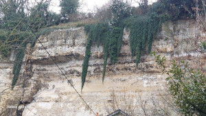Photo de galerie - Jardinage vertical