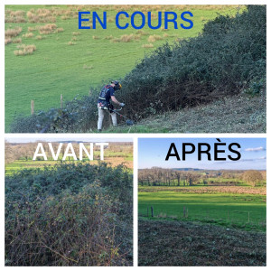 Photo de galerie - Débroussaillage d'un champ de ronce