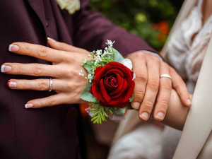 Photo de galerie - Photographe