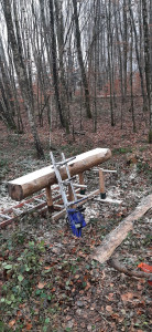 Photo de galerie - Débarrasse et découpe sur place de vos billes, billions, grumes. 