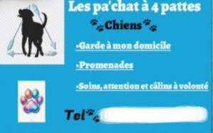 Photo de galerie - Passionné d'animaux je garde des chiens à mon domicile sur le Luc 