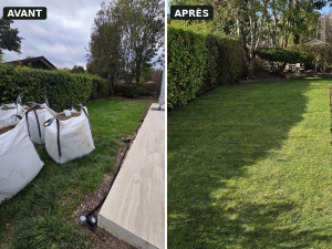 Photo de galerie - Rénovation complète du gazon : un jardin propre, soigné et prêt à retrouver toute sa beauté.