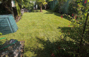 Photo de galerie - Gazon de placage 