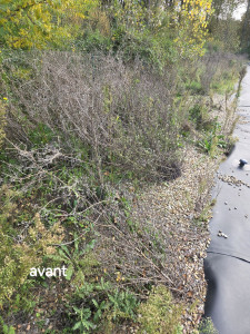 Photo de galerie - Tonte de pelouse - Débroussaillage