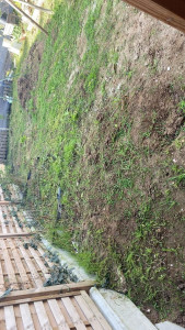 Photo de galerie - Jardinier