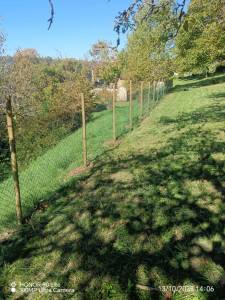 Photo de galerie - Clôture Grillage