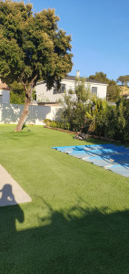 Photo de galerie - Paysagiste - Aménagement du jardin