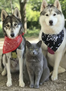 Photo de galerie - Garde animaux