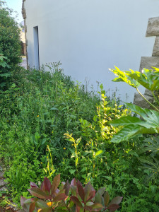 Photo de galerie - Avant l'intervention. 
