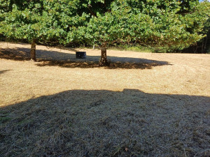 Photo de galerie - Nettoyage de parcelle 1500m²