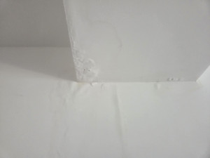 Photo de galerie - Rénovation mur et plafond intérieur suite à un dégât des eaux 