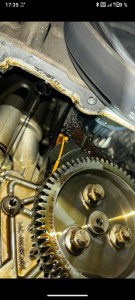 Photo de galerie - Distribution ecoboost 