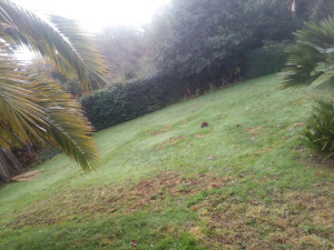 Photo de galerie - Terrain rebouché
