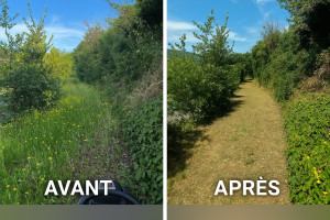 Photo de galerie - Gros débroussaillage 