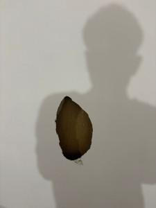 Photo de galerie - Trou de 40 cm par 20 