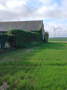 Photo de galerie - Janvier 2026