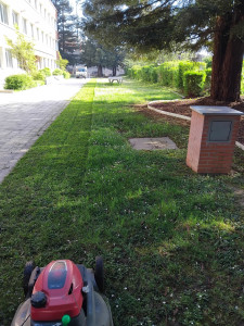 Photo de galerie - Tonte 
 