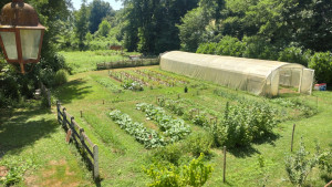 Photo de galerie - Entretien de jardin