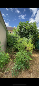 Photo de galerie - Avant après 